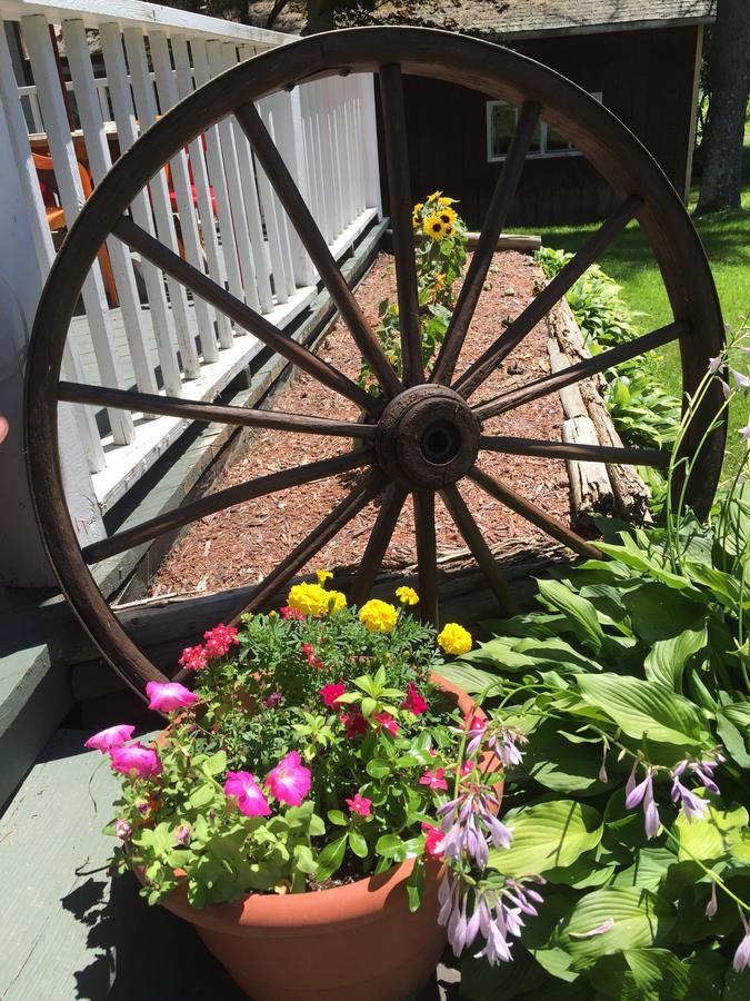 The Wheelhouse Inn Pine Hill Extérieur photo
